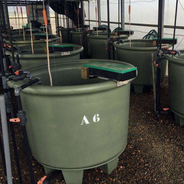 AP1000-2-Aquaculture-Tank